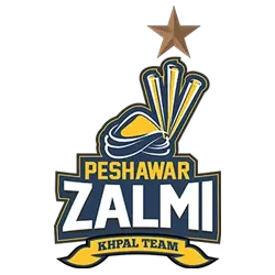 peshawar zalmi copy